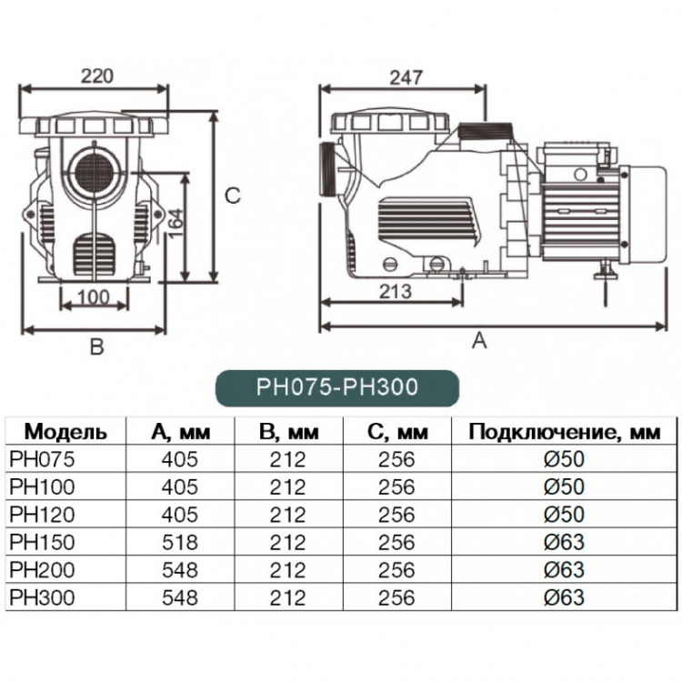 Насос с префильтром Pool King PH150  B0302402069 