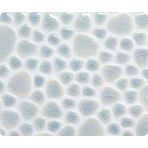 Мозаика керамическая однотонная Giaretta Морские камешки Light Blue Grey
